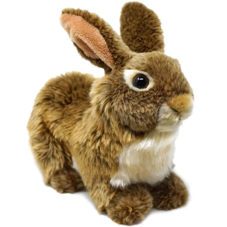 Bridger the Brown Rabbit