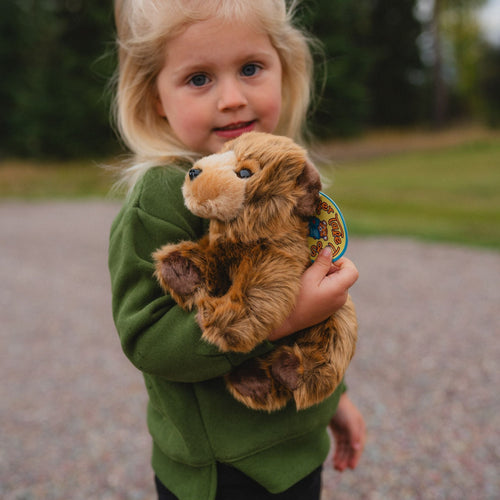 Betty the Baby Brown Grizzly Bear - stuffie