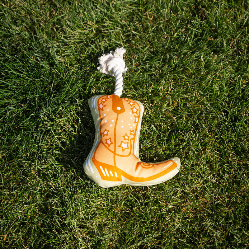 Rope Dog Toys - The Montana Scene