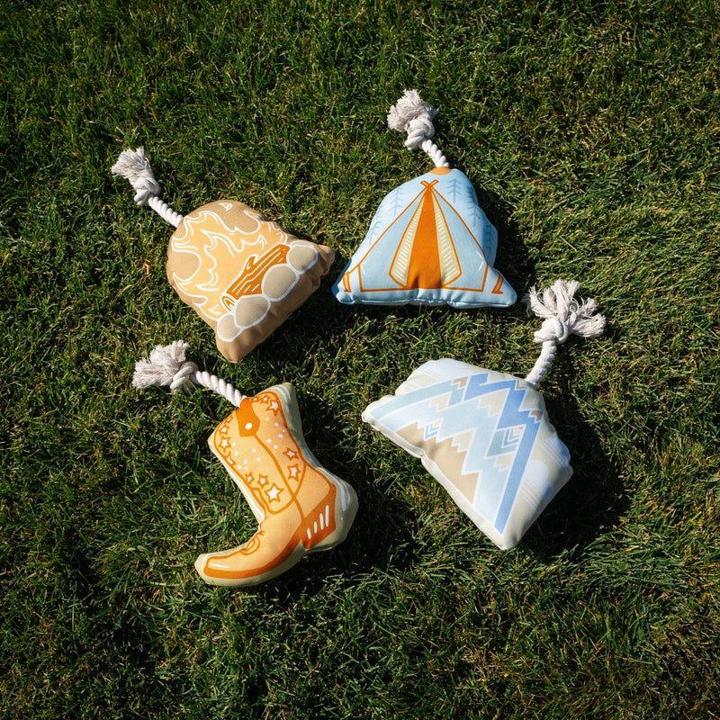 Rope Dog Toys - The Montana Scene