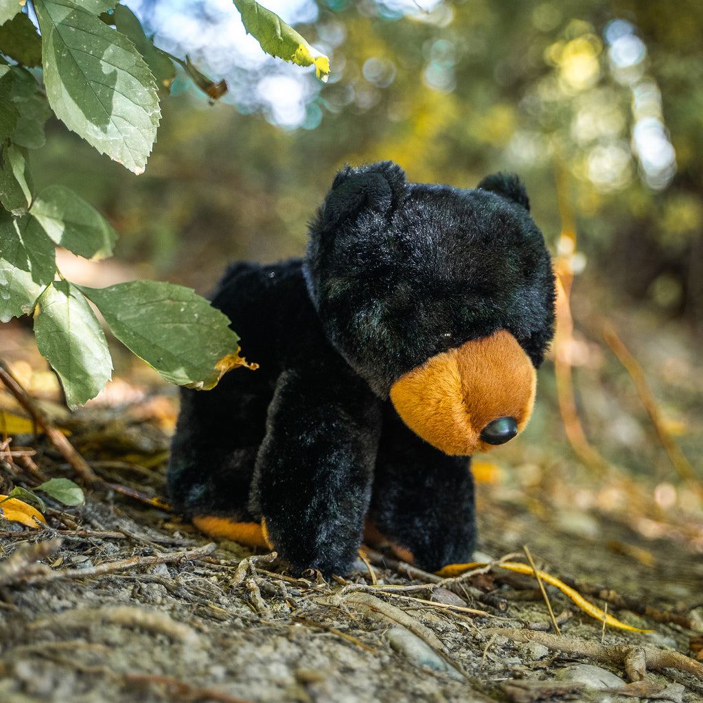 9" (23cm) Wild Onez Black Bear - The Montana Scene