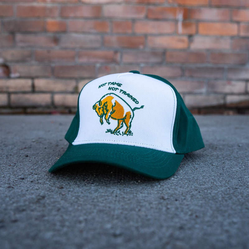 Not Tame Bison Trucker - Green/White