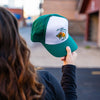 Not Tame Bison Trucker - Green/White - The Montana Scene