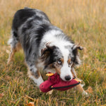 Animal Dog Toys
