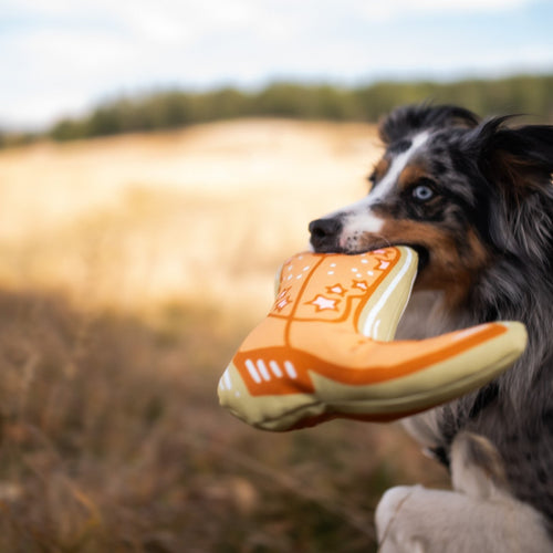 Rope Dog Toys