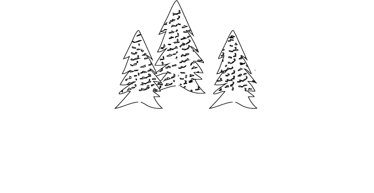 The Montana Scene
