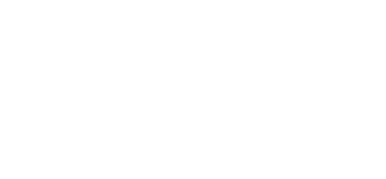 The Montana Scene