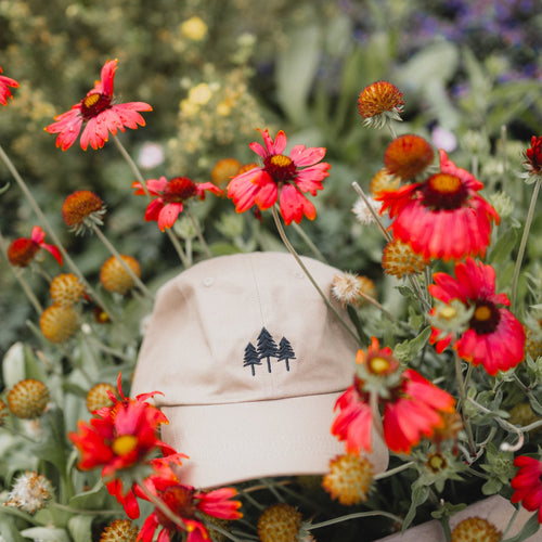 Three Tree Dad Hat - Tan