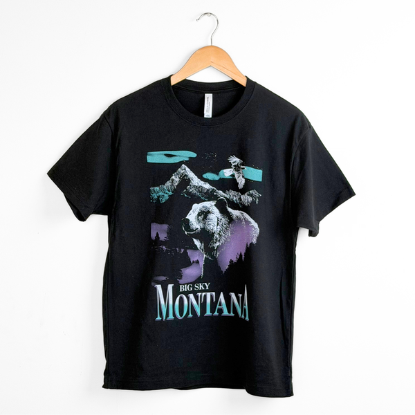 The Montana Scene - Photo 6