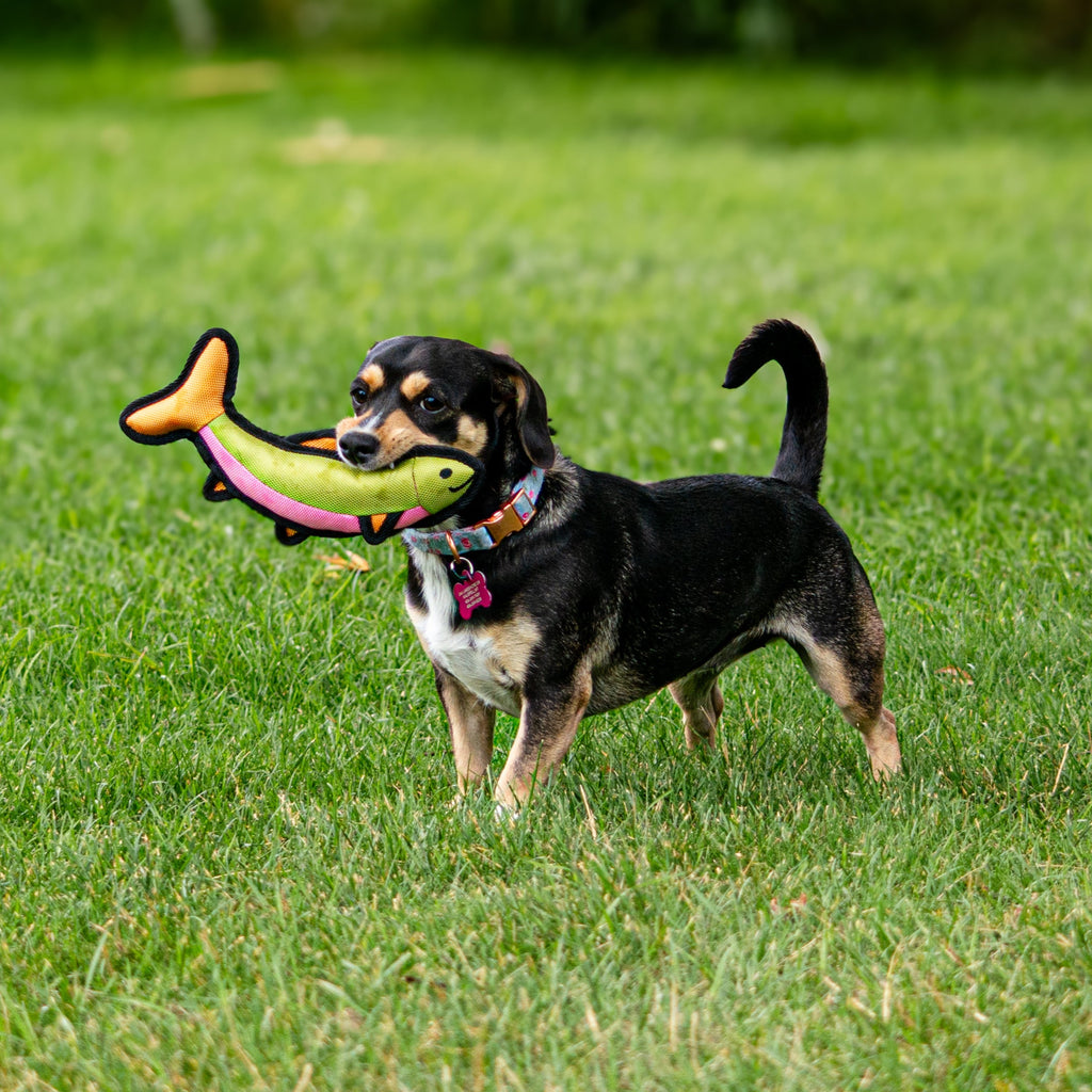 Animal Dog Toys - The Montana Scene