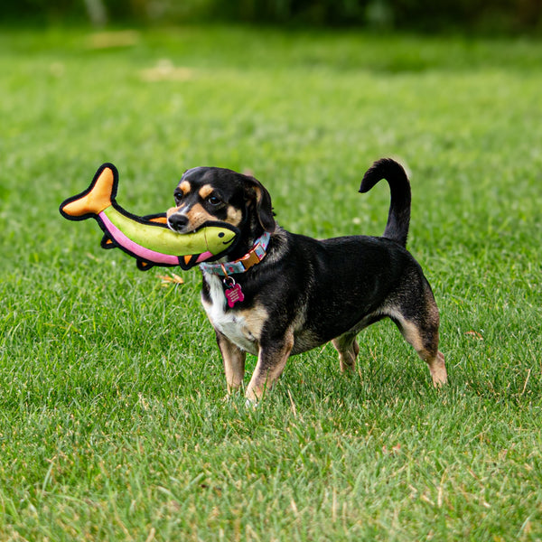 Animal Dog Toys - The Montana Scene