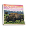 Montana - Bison and Sunset Coaster - The Montana Scene