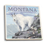 Montana Mountain Goat Coaster