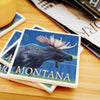 Montana Moose Coaster