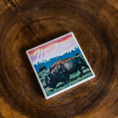 Montana - Bison and Sunset Coaster - The Montana Scene