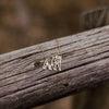 Bear Necklace - Gold
