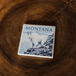 Montana Mountain Goat Coaster