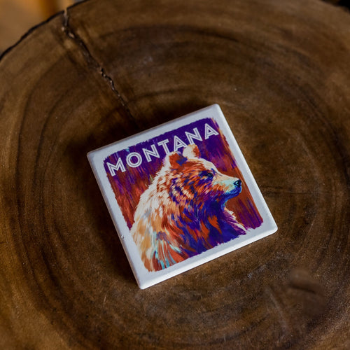 Montana Grizzly Bear Coaster - The Montana Scene