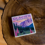 Glacier National Park Bear and Spring Flower Coaster - The Montana Scene